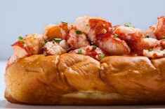 nonfeatured-best-lobster-rolls-east-coast